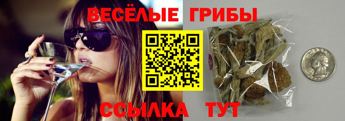 Нарткала  Псилоцибиновые грибы GOLDEN TEACHER  Вход с VPN  Псилоцибиновые грибы прущие грибы 