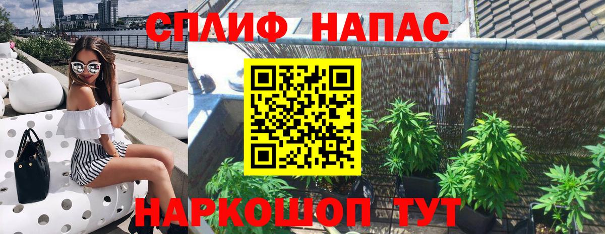 Нарткала  Бошки Шишки MAZAR  Вход с VPN  Конопля конопля  Канабис план  Канабис индика 
